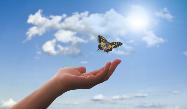 Медитация для женщин "Прощаю себя"