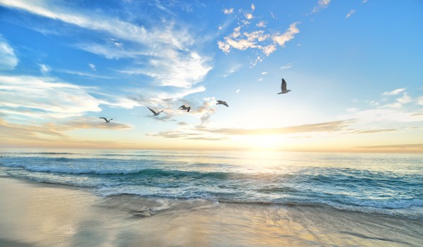 Медитация-расслабление "Берег моря"